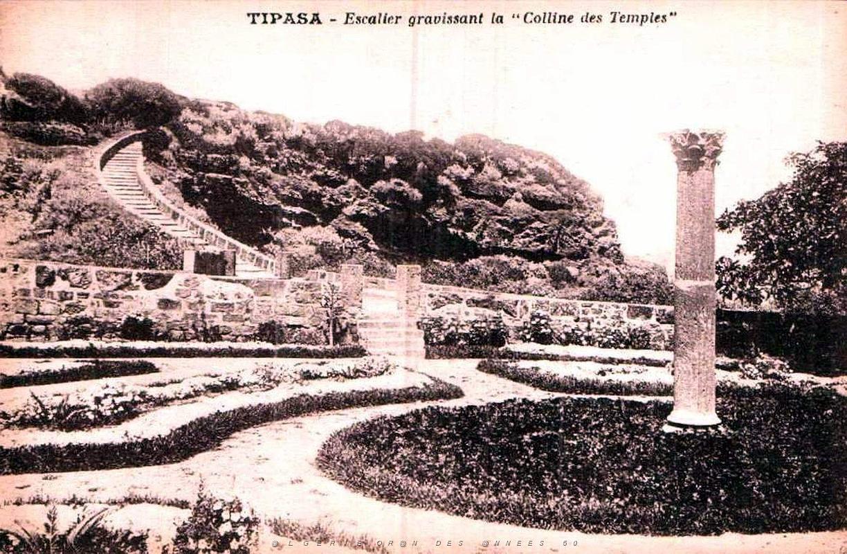 Tipasa - Ruines romaines 14.jpg